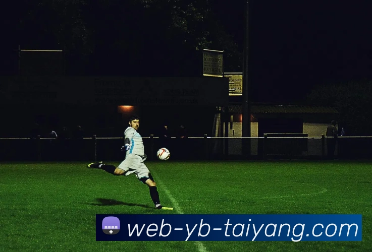 太阳城APP 封面图